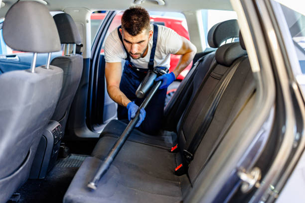 How to get rid of carpet beetles in a car